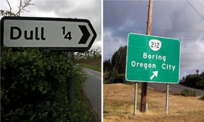 Signs for Dull and Boring